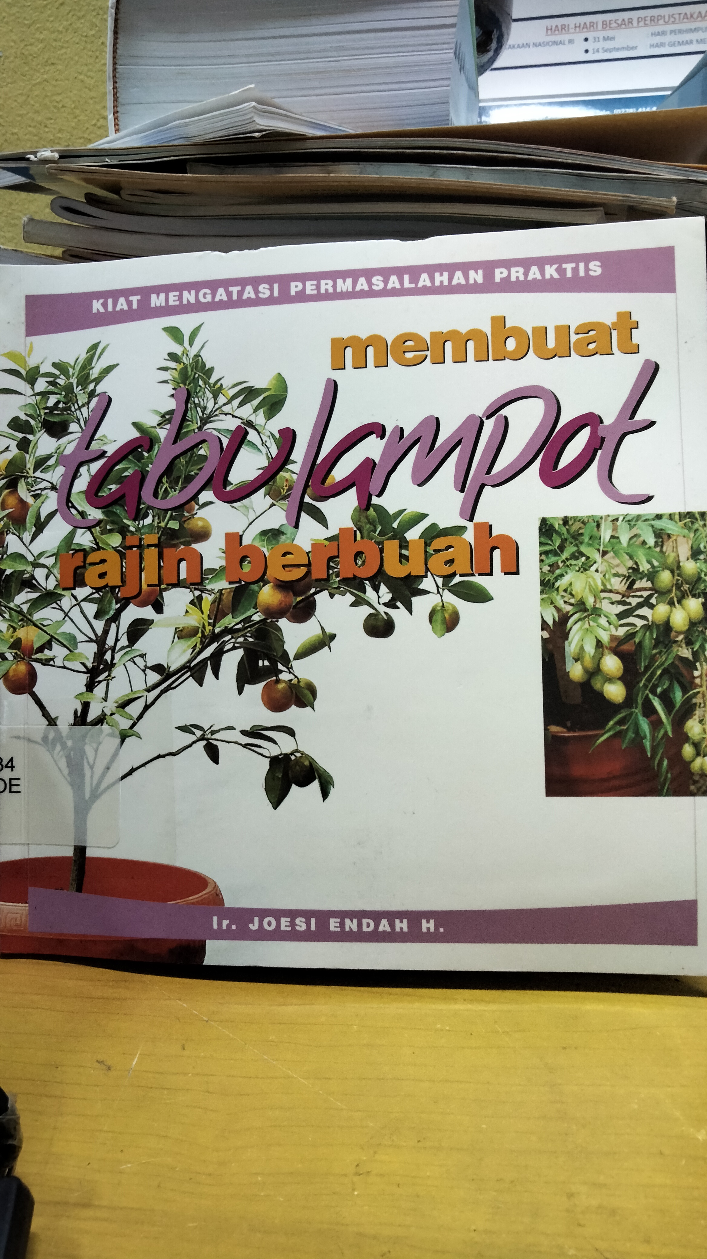 Sampul MEMBUAT TABULAMPOT RAJIN BERBUAH / Ir. JOESI ENDAH
