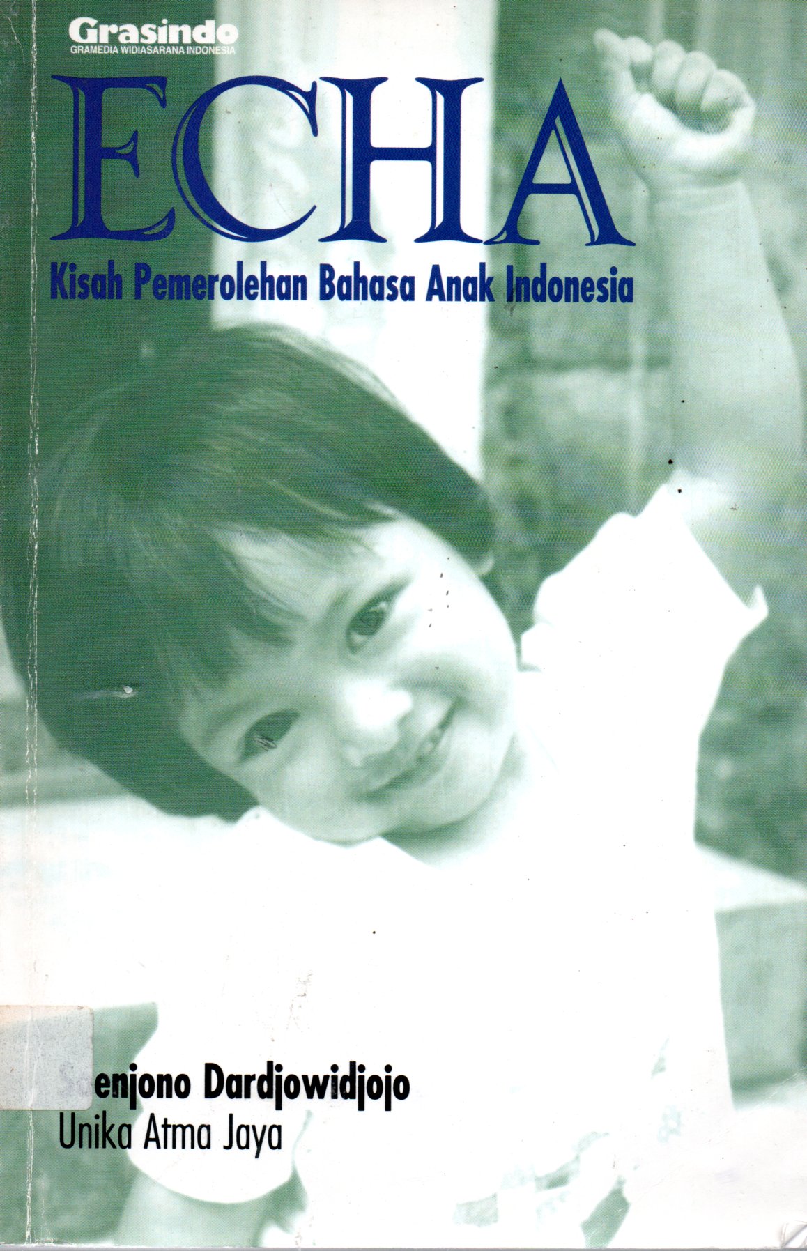 Sampul Echa :  Kisah Pemerolehan Bahasa Anak Indonesia