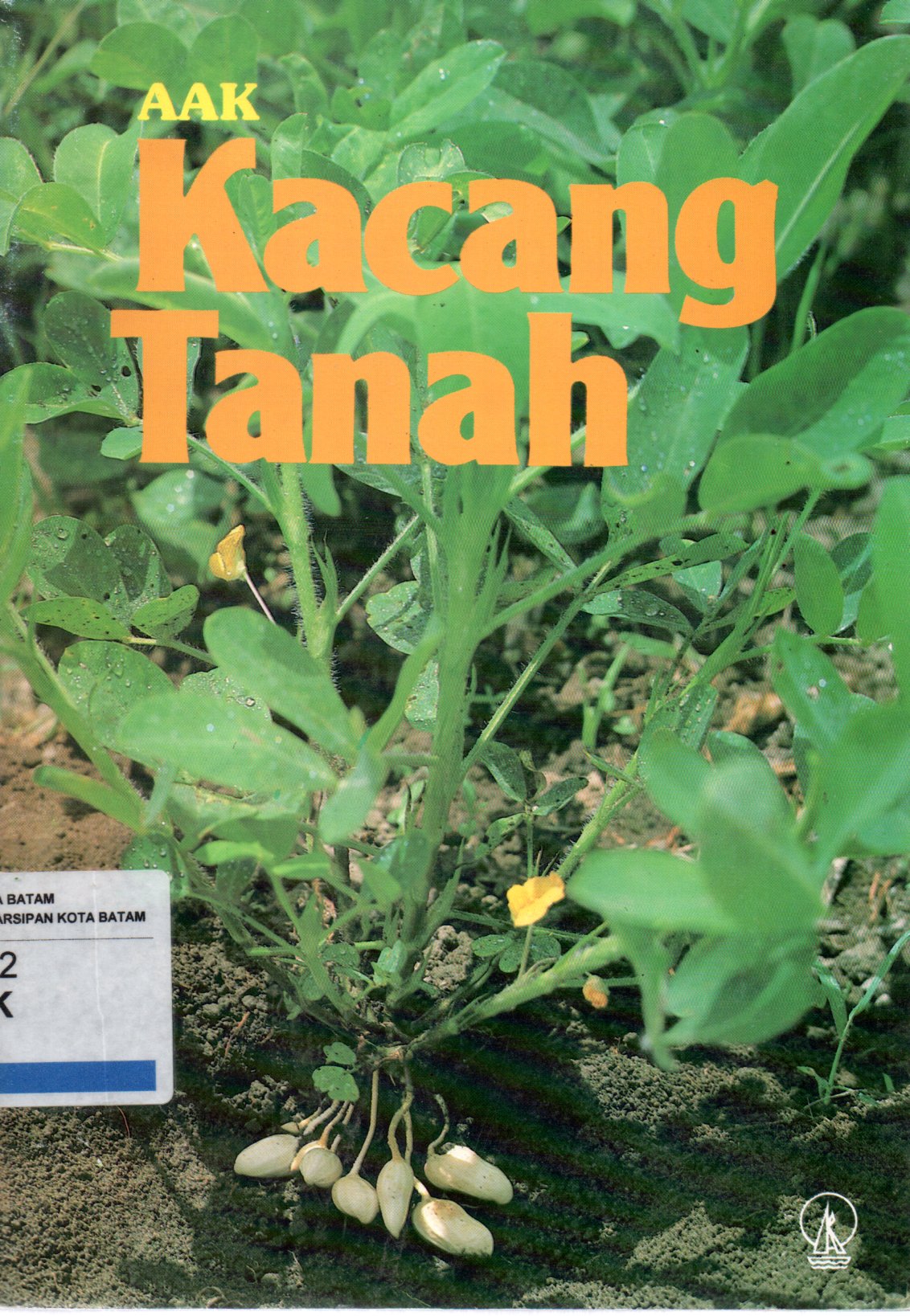 Sampul Kacang Tanah