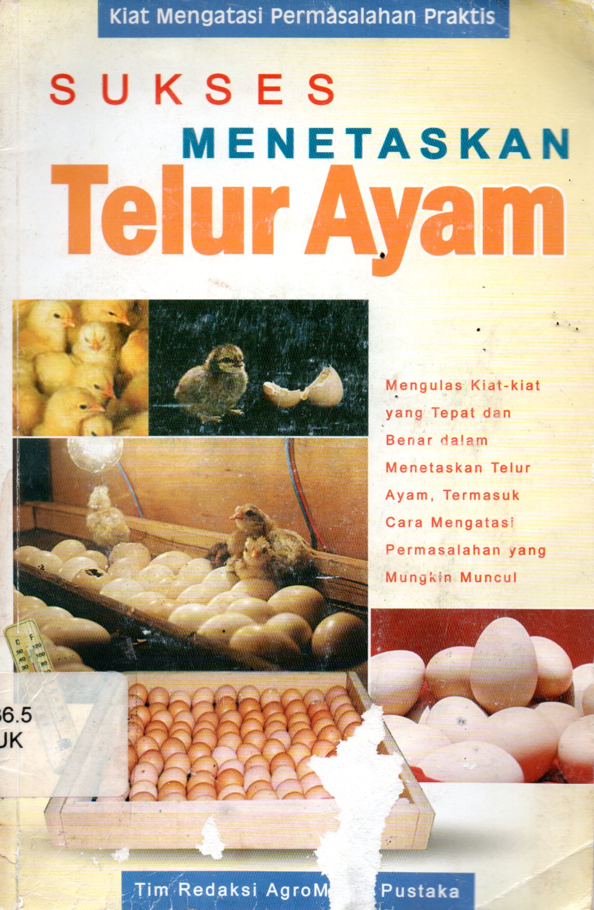 Sampul Sukses Menetaskan Telur Ayam / Tim Redaksi Agro Media Pustaka