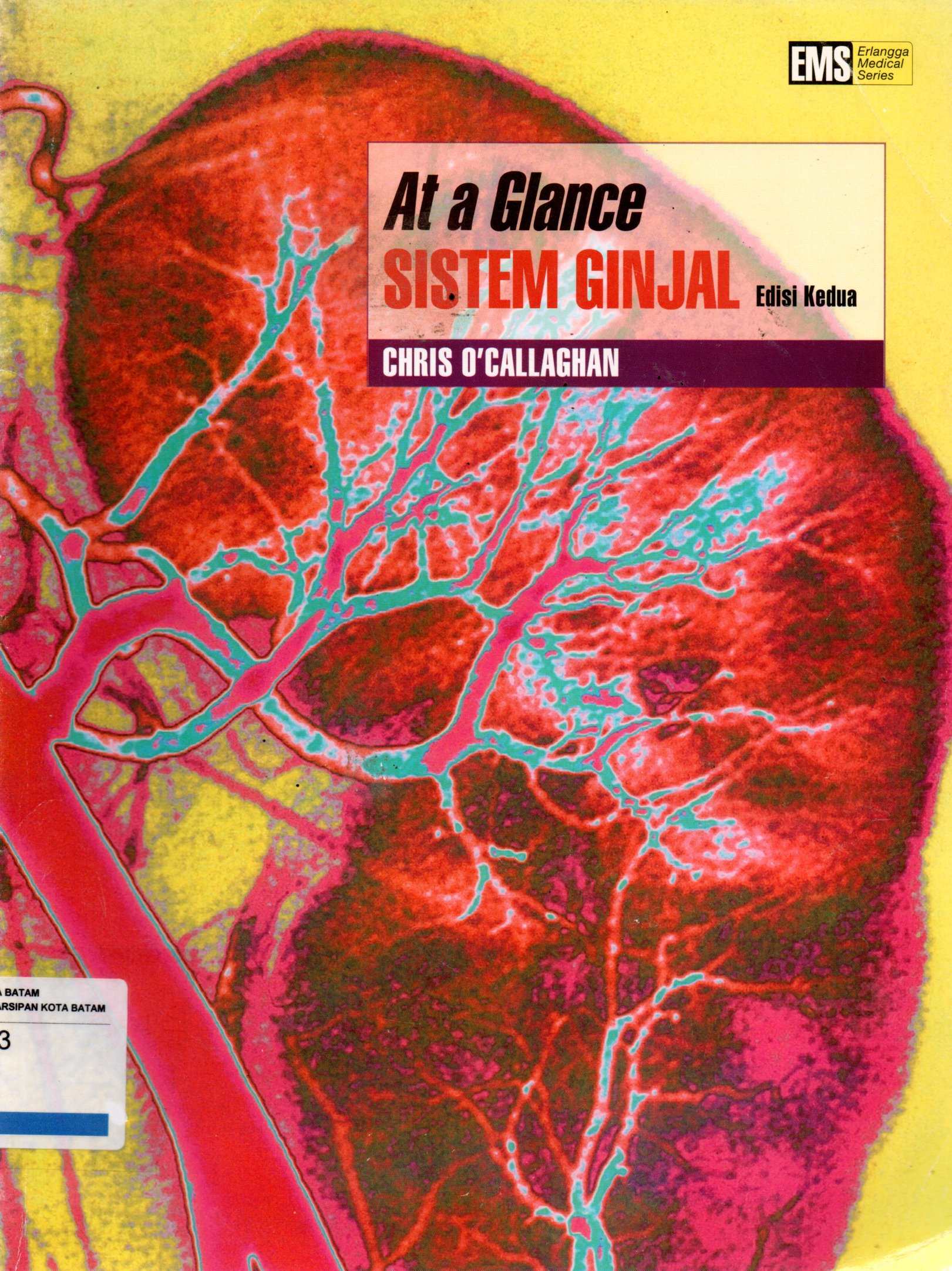 Sampul At a Glance :  Sistem Ginjal / Alih Bahasa: Elizabeth Yasmine, Editor: Amalia Safitri, Rina Astikawati