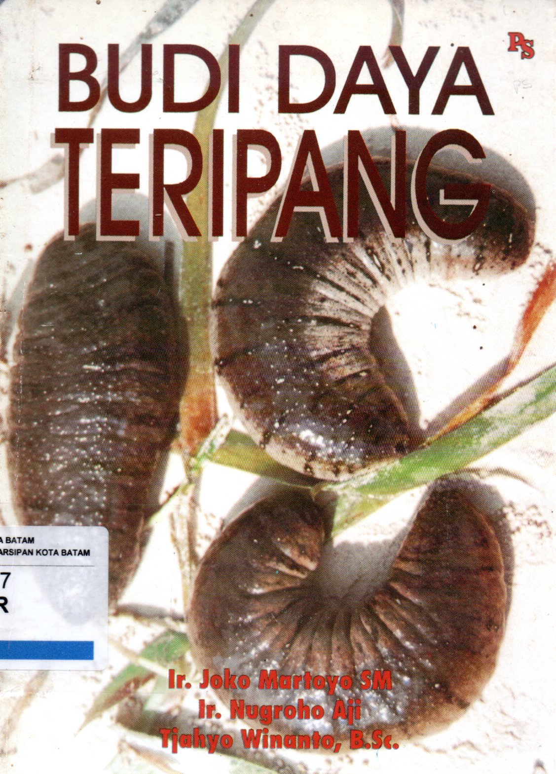 Sampul Budi Daya Teripang