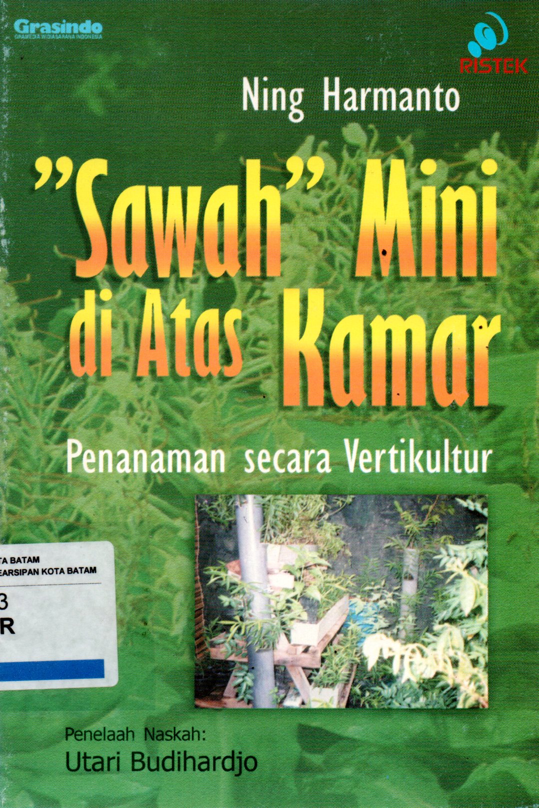 Sampul Sawah Mini di Atas Kamar :  Penanaman Secara Vertikultur