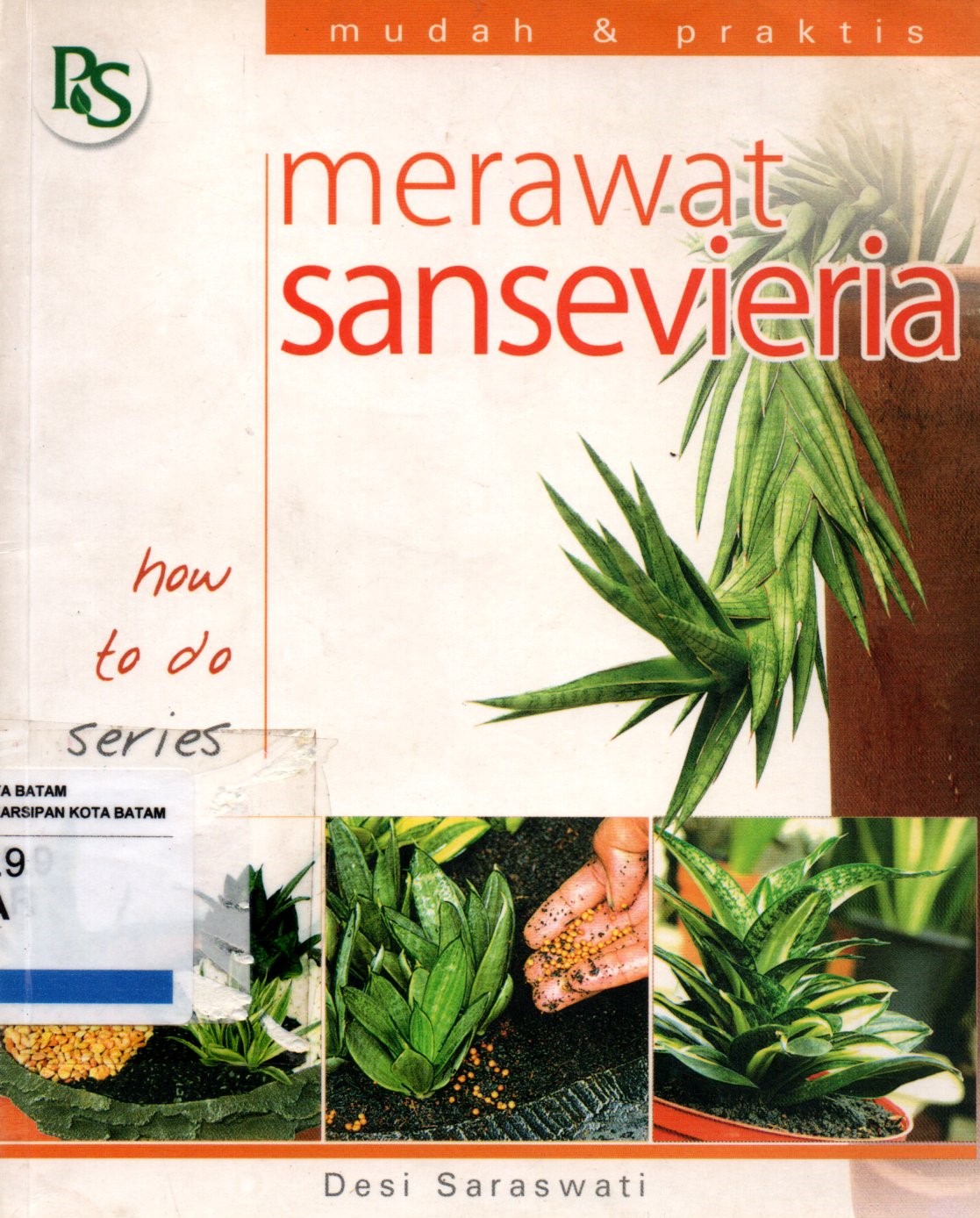 Sampul Merawat Sansevieria