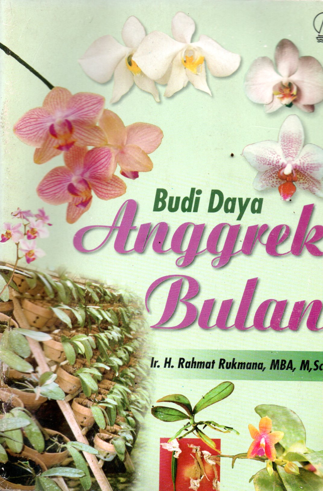 Sampul Budi Daya Anggrek Bulan / Rahmat Rukmana