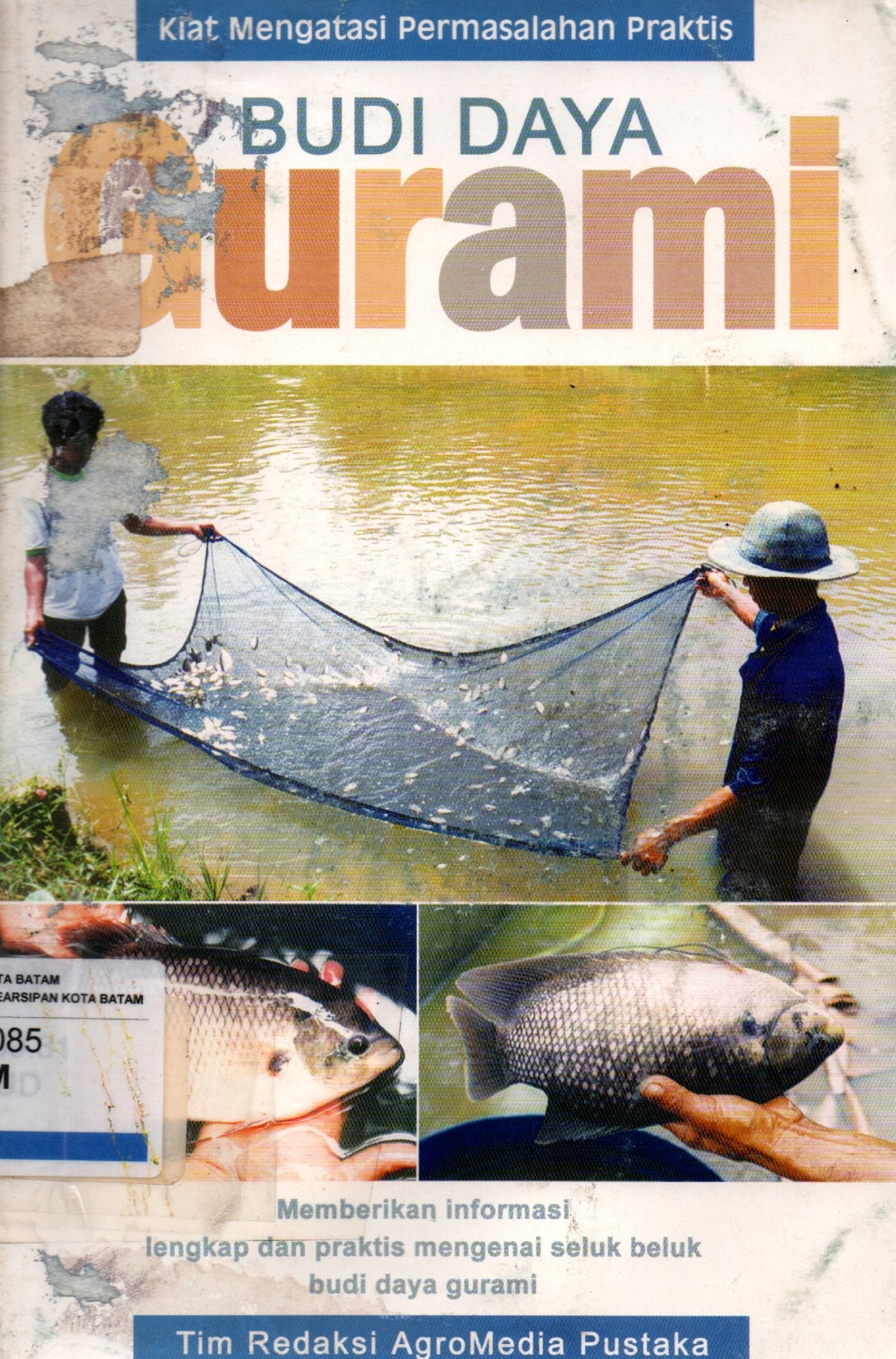 Sampul Budi Daya Gurami :  Kiat Mengatasi Permasalahan Praktis / Penyunting: Lukito Adi Marianto