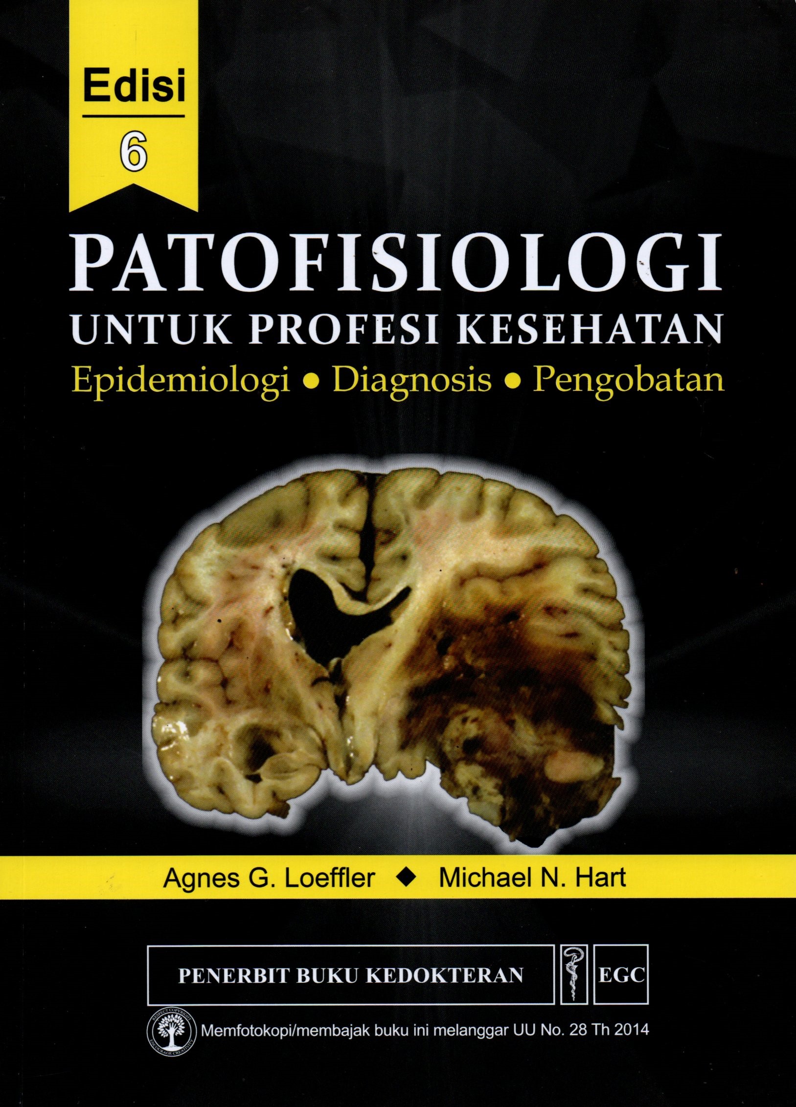Sampul Patofisiologi untuk Profesi Kesehatan :  Epidemiologi, Diagnosis dan Pengobatan / Alih Bahasa: Devi Yulianti