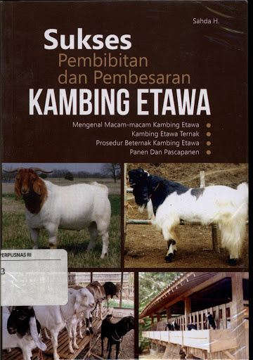 Sampul Sukses Pembibitan dan Pembesaran Kambing Etawa