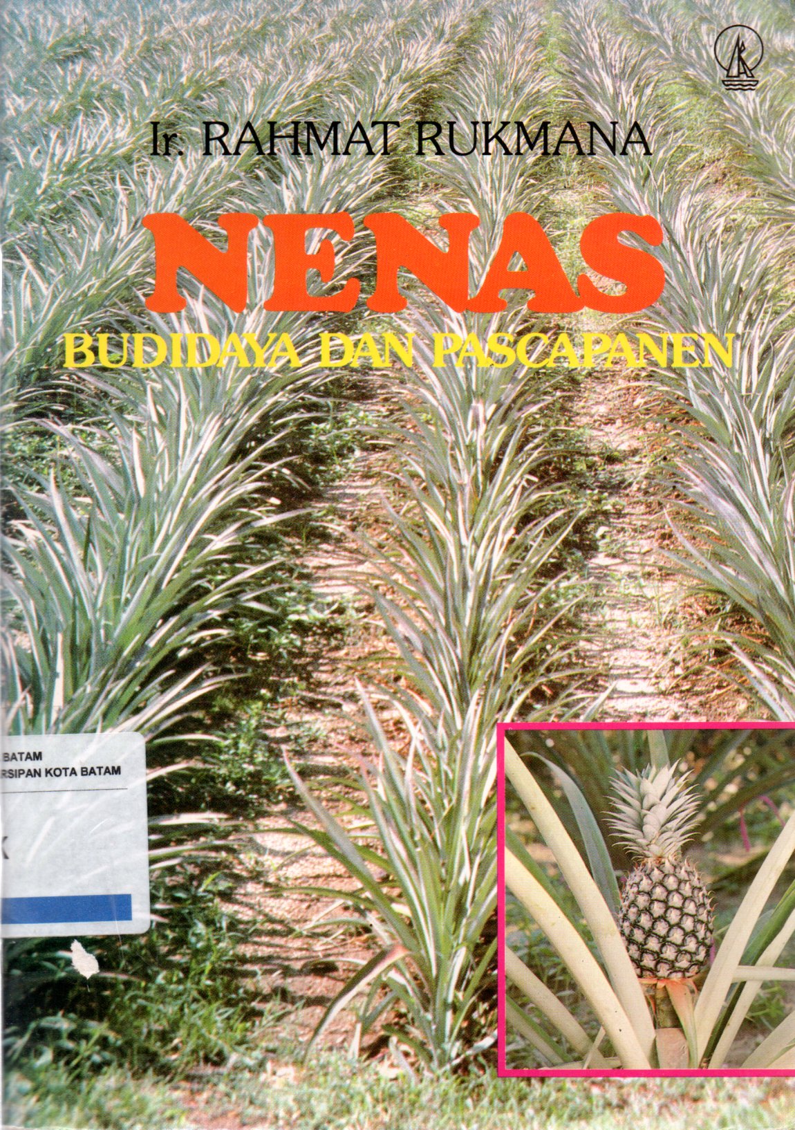 Sampul Nenas :  Budidaya dan Pascapanen