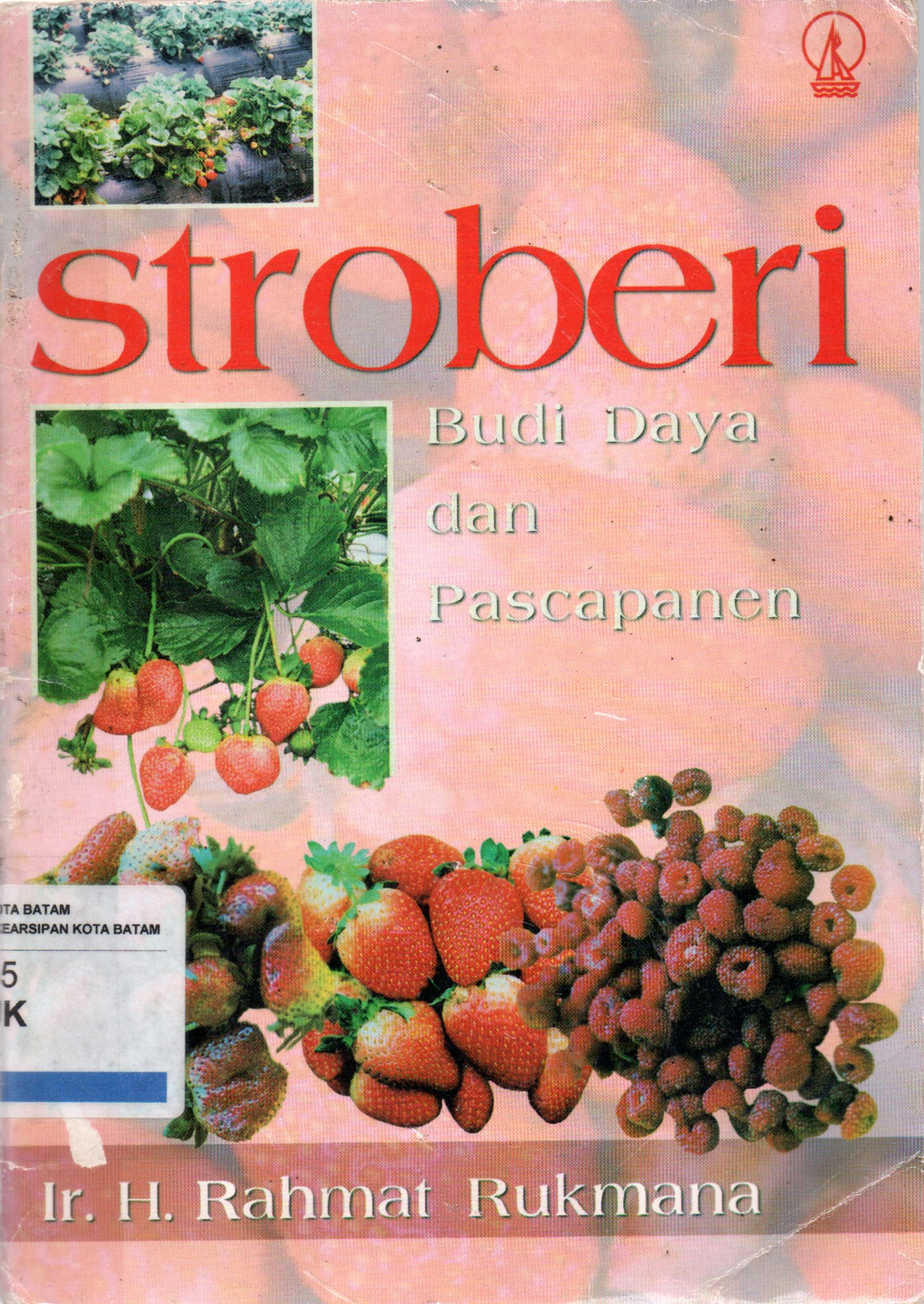 Sampul Stroberi :  Budi Daya dan Pascapanen
