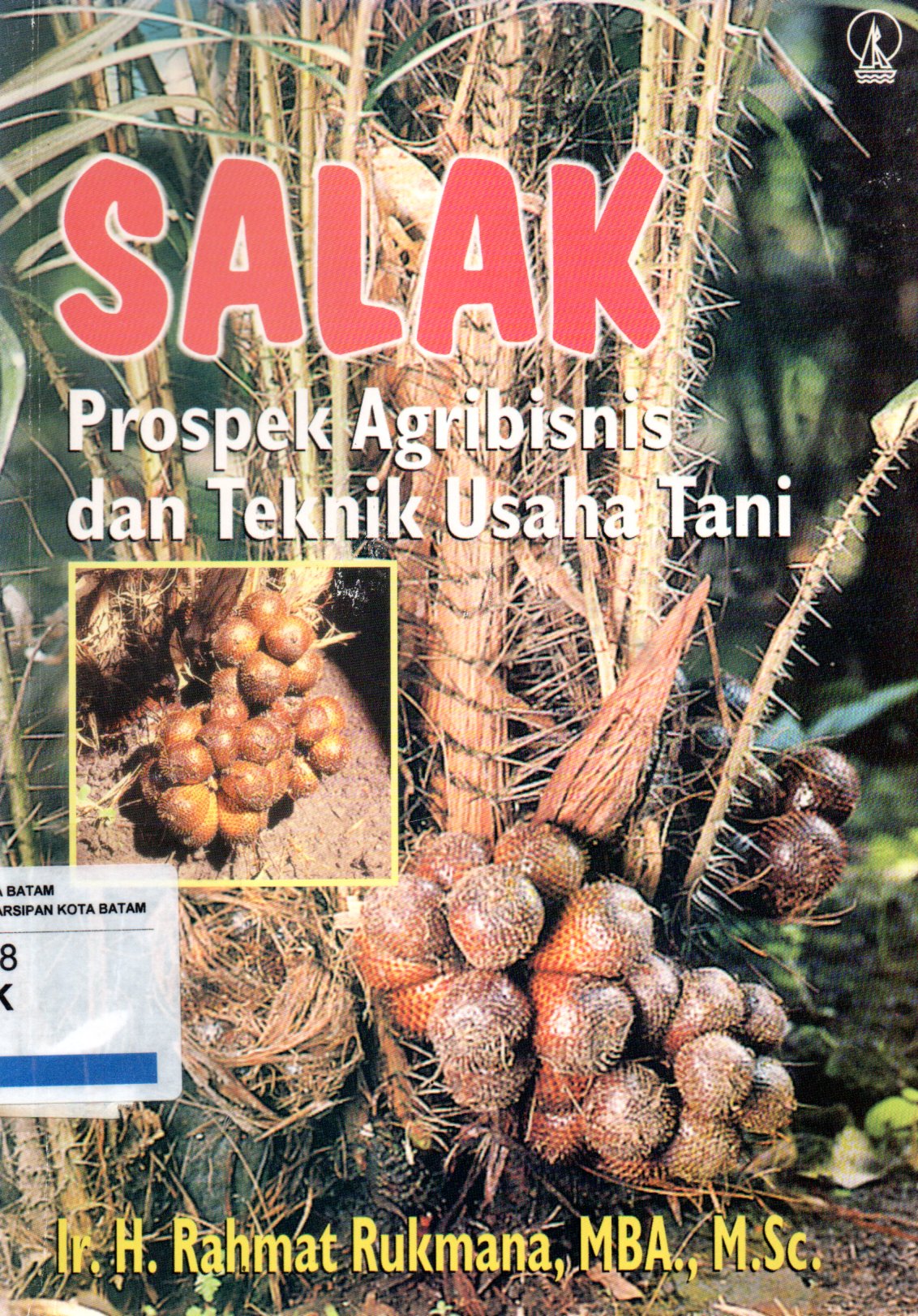 Sampul Salak :  Prospek Agribisnis dan Teknik Usaha Tani