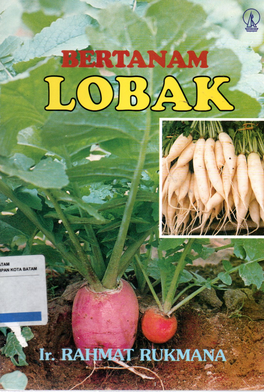 Sampul Bertanam Lobak