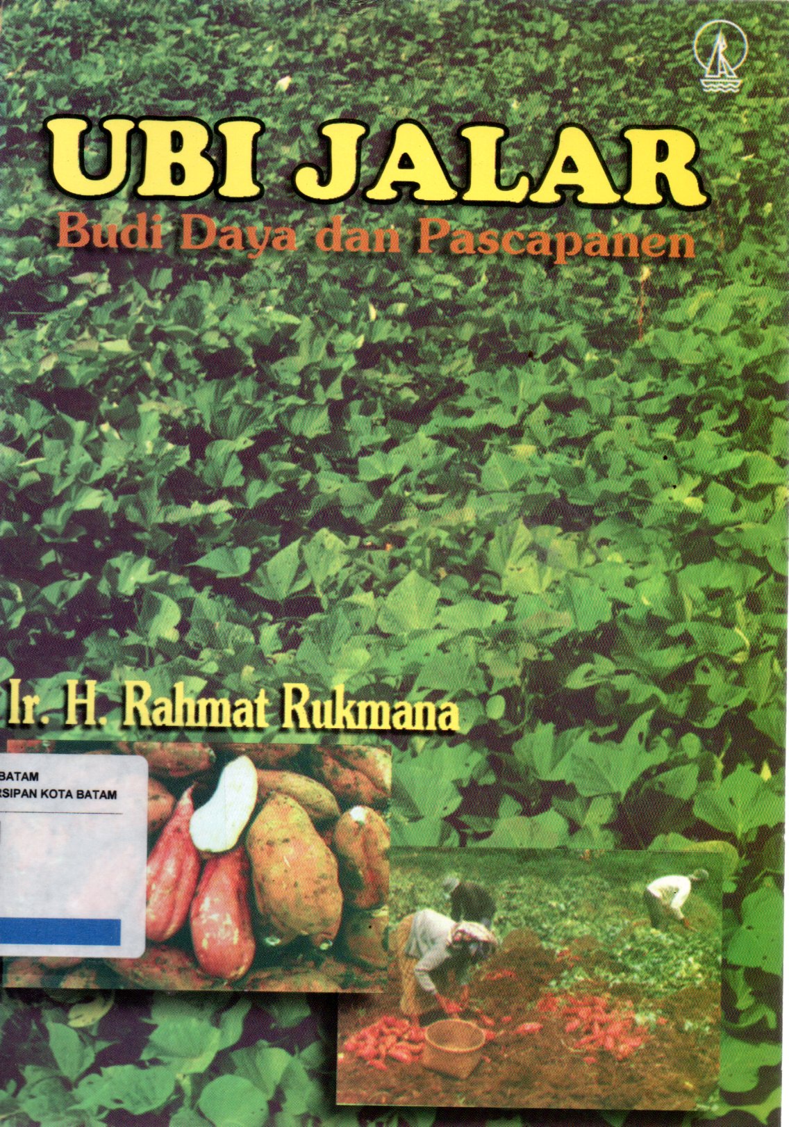 Sampul Ubi Jalar :  Budi Daya dan Pascapanen