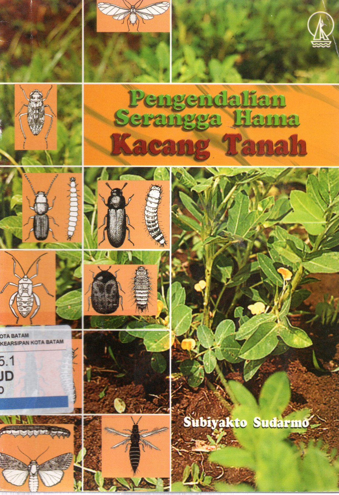 Sampul Pengendalian Serangga Hama :  Kacang Tanah