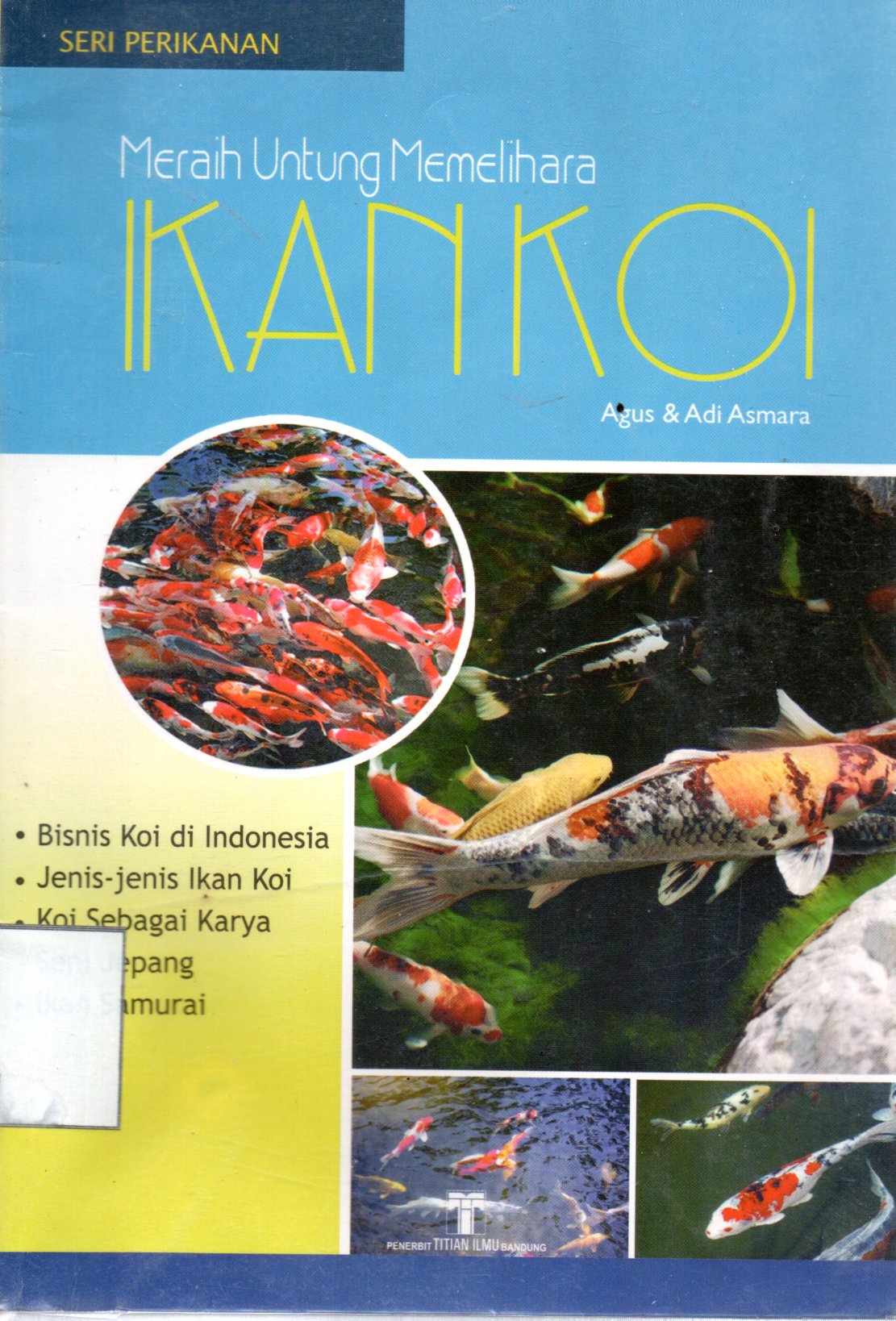 Sampul Meraih Untung Memelihara Ikan Koi