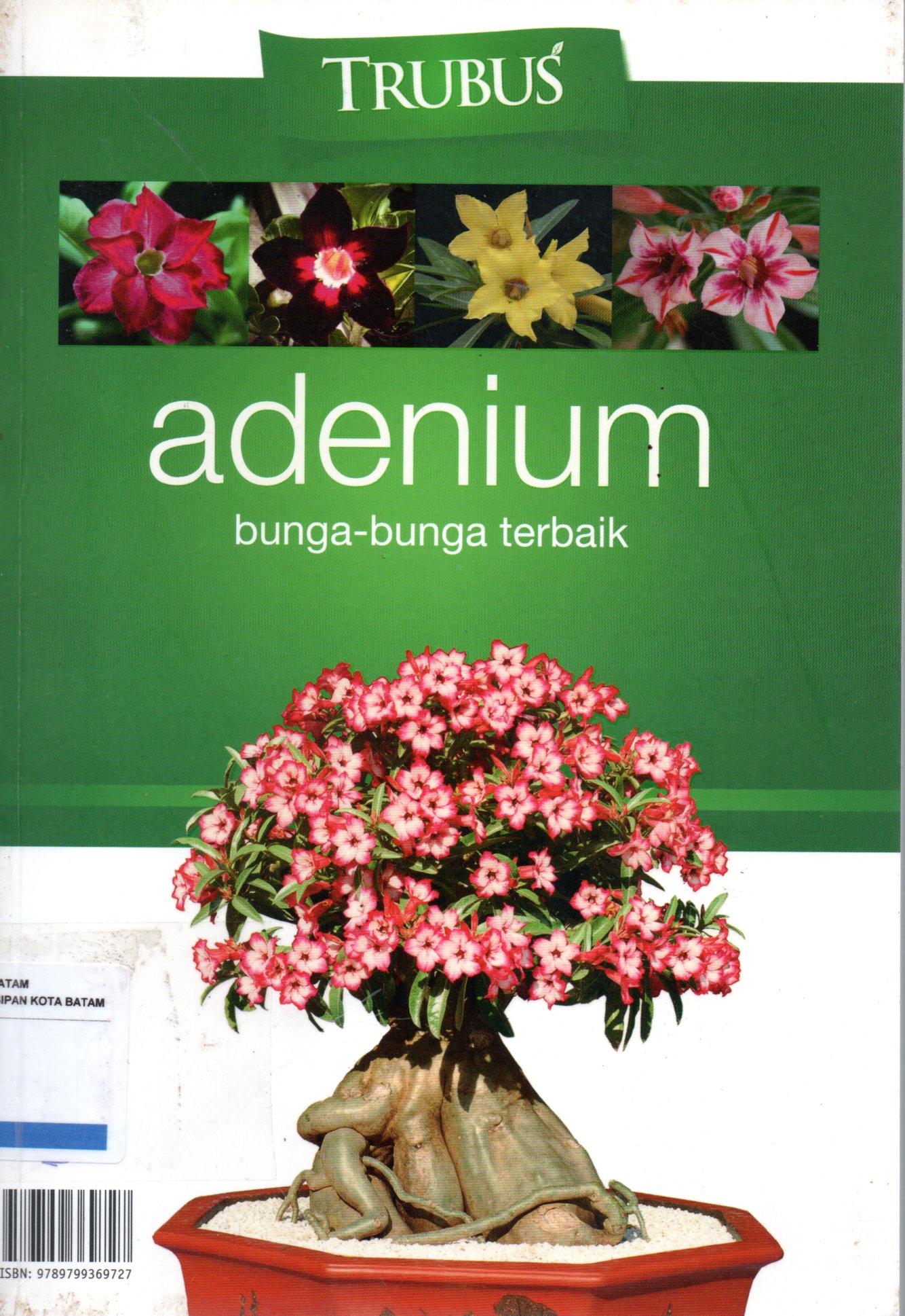 Sampul Adenium :  Bunga-Bunga Terbaik