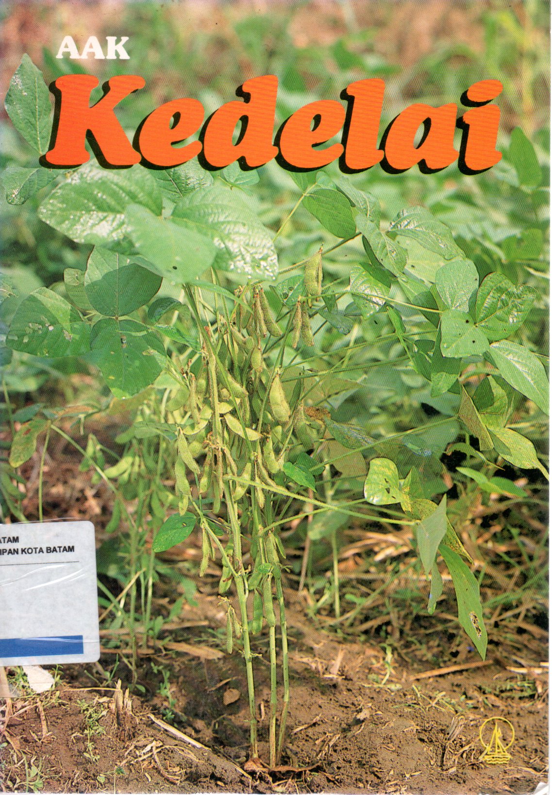 Sampul Kedelai