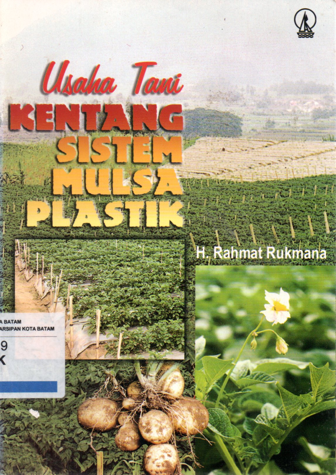 Sampul Usaha Tani Kentang Sistem Mulsa Plastik