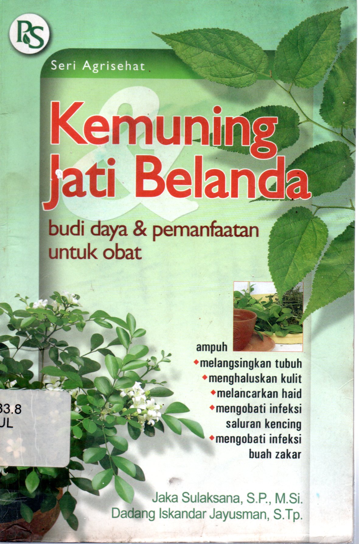 Sampul Kemuning Jati Belanda :  Budidaya dan Pemanfaatan untuk Obat