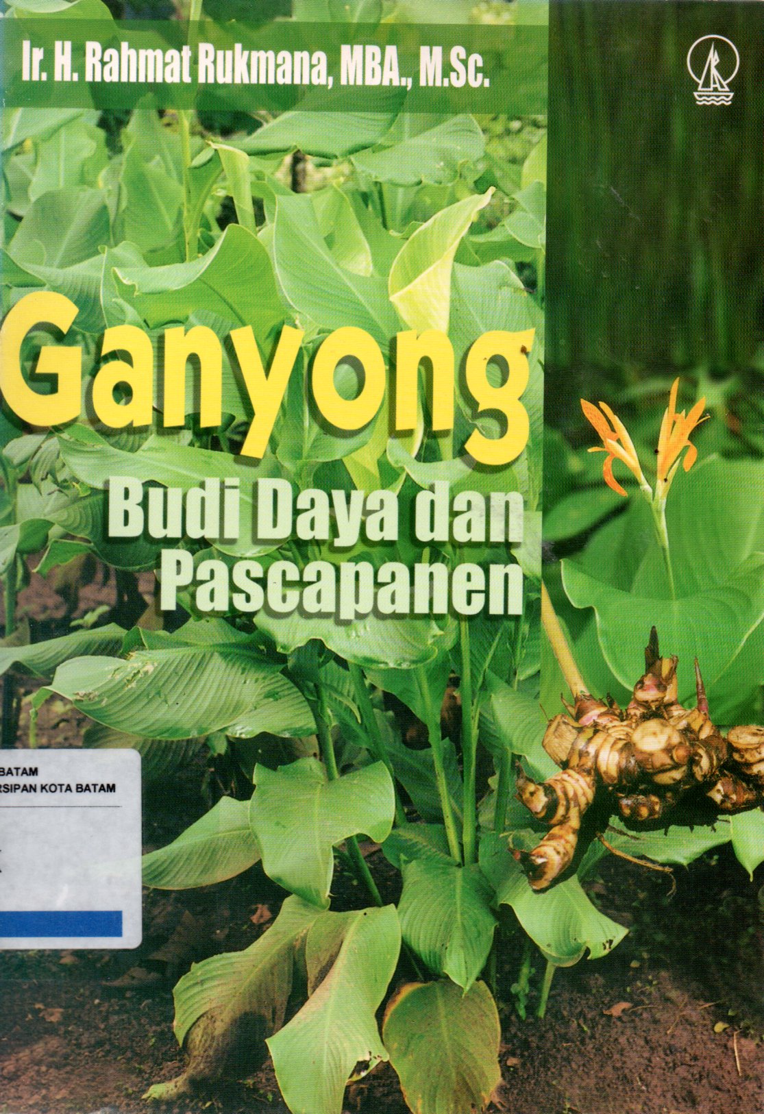 Sampul Ganyong :  Budi Daya dan Pascapanen