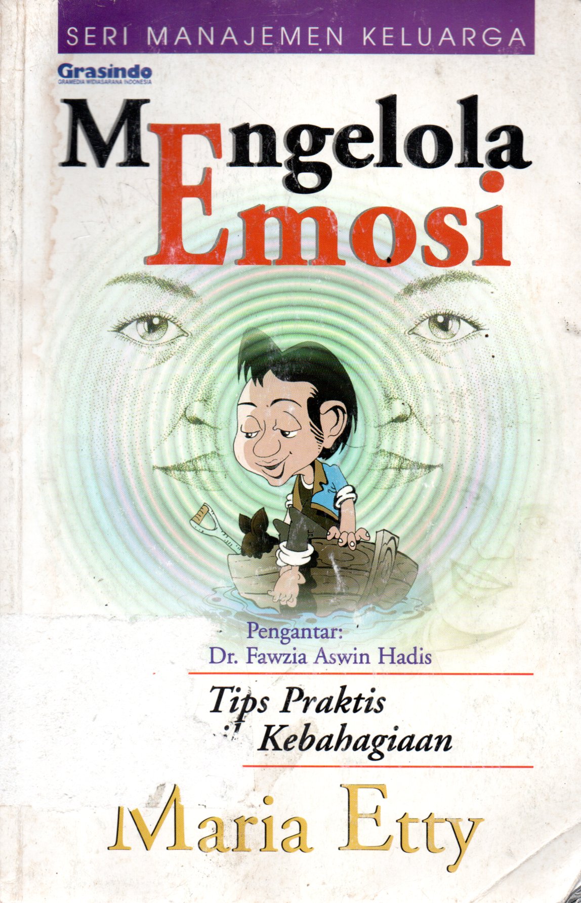 Sampul Mengelola Emosi :  Tips Praktis Meraih Kebahagiaan