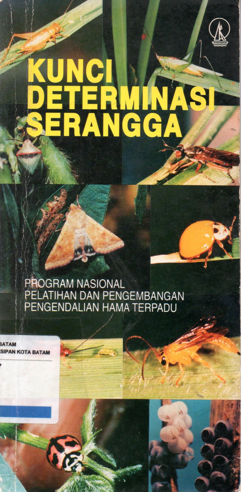 Sampul Kunci Determinasi Serangga :  Program Nasional Pelatihan dan Pengembangan Pengendalian Hama Terpadu / Editor: Christina Lilies S