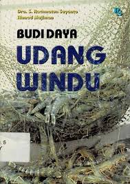 Sampul Budi Daya Udang Windu