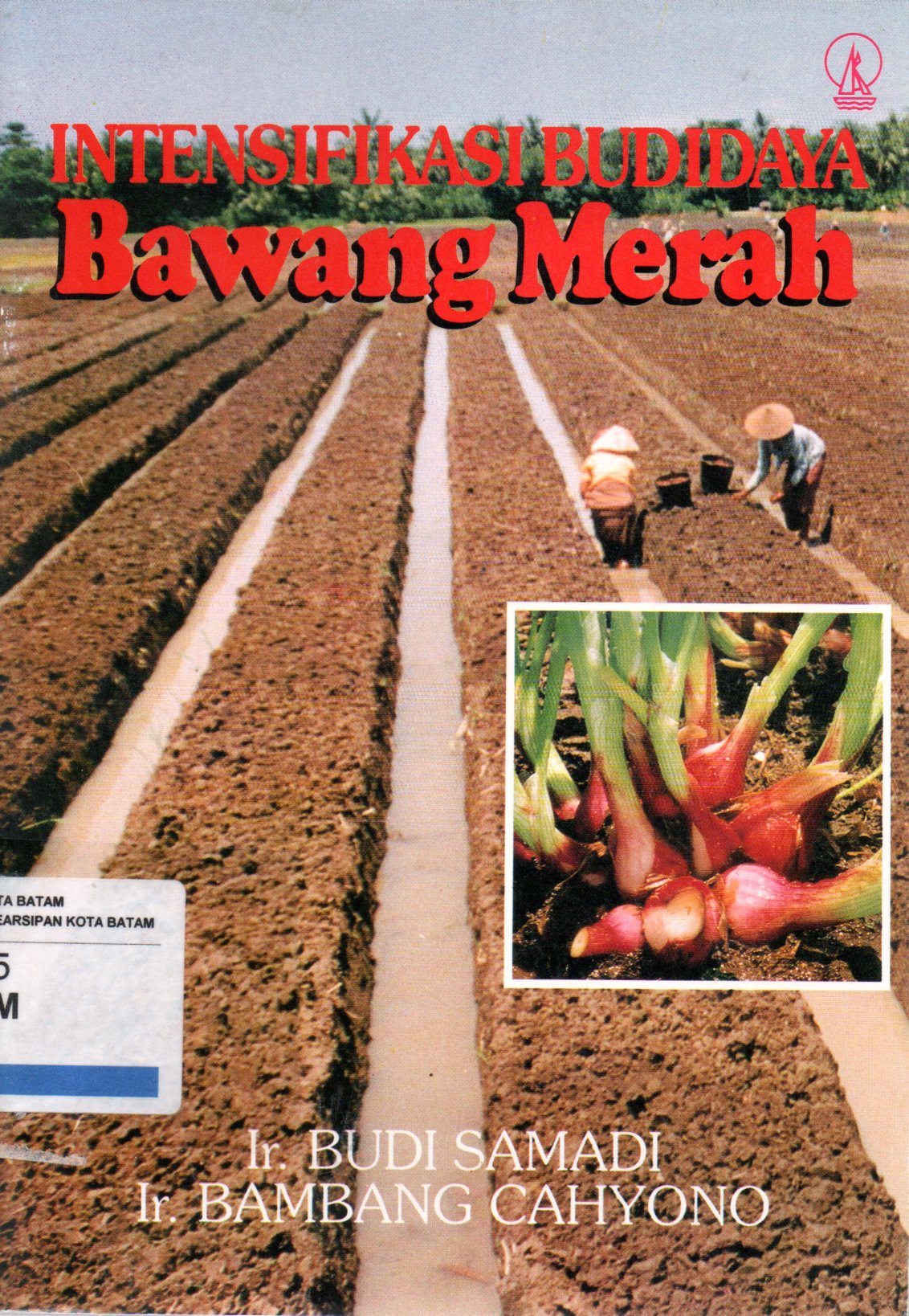 Sampul Intensifikasi Budidaya Bawang Merah