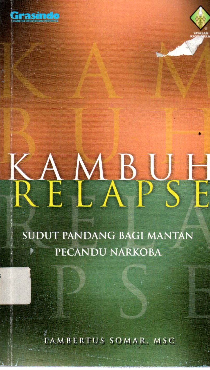 Sampul Kambuh Relapse :  Sudut Pandang bagi Mantan Pecandu Narkoba
