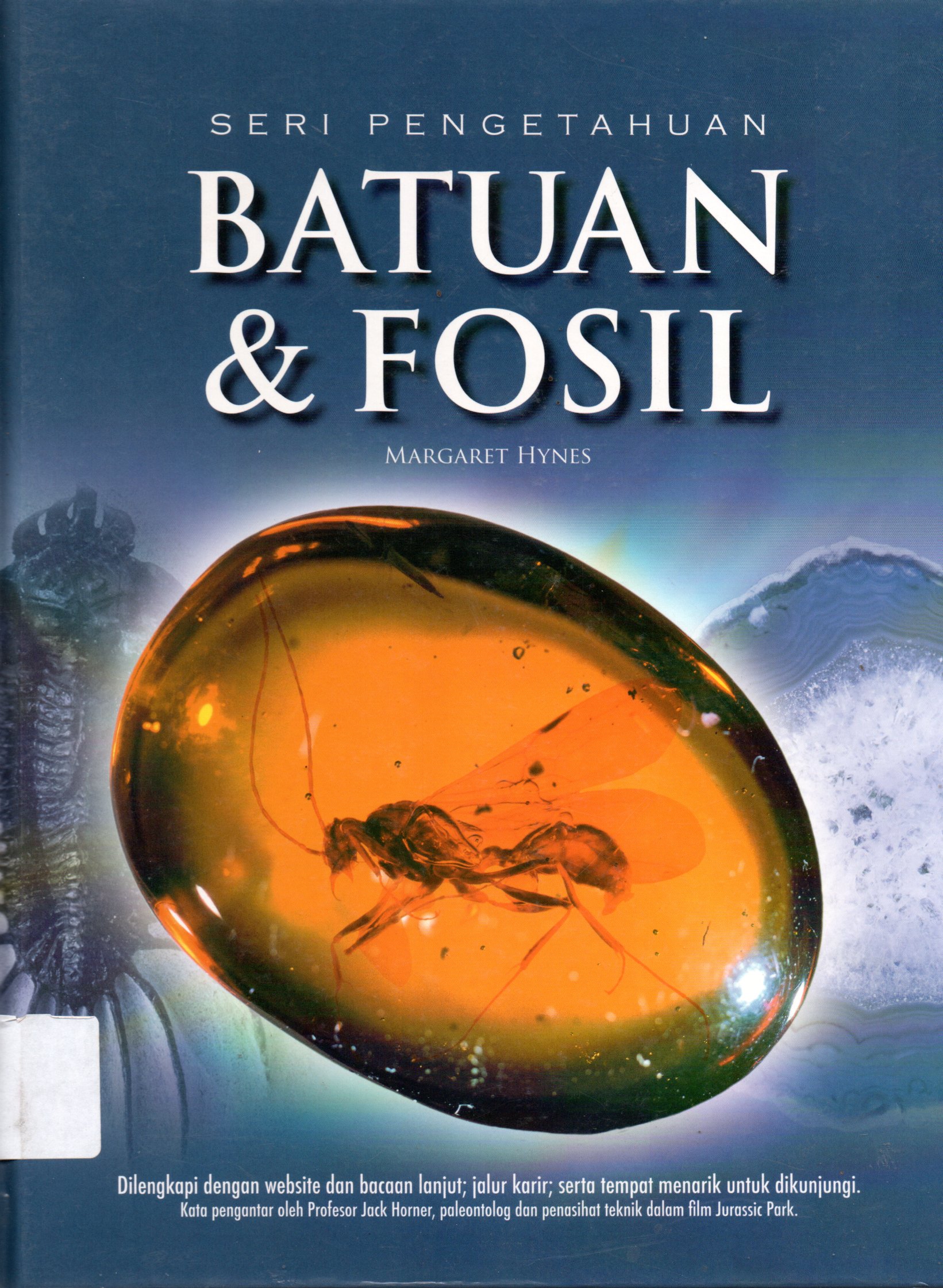 Sampul Batuan dan Fosil :  Seri Pengetahuan / Penerjemah: Bob Sabran, Editor: Tessa Febiani, Dwi Kartika Warhani