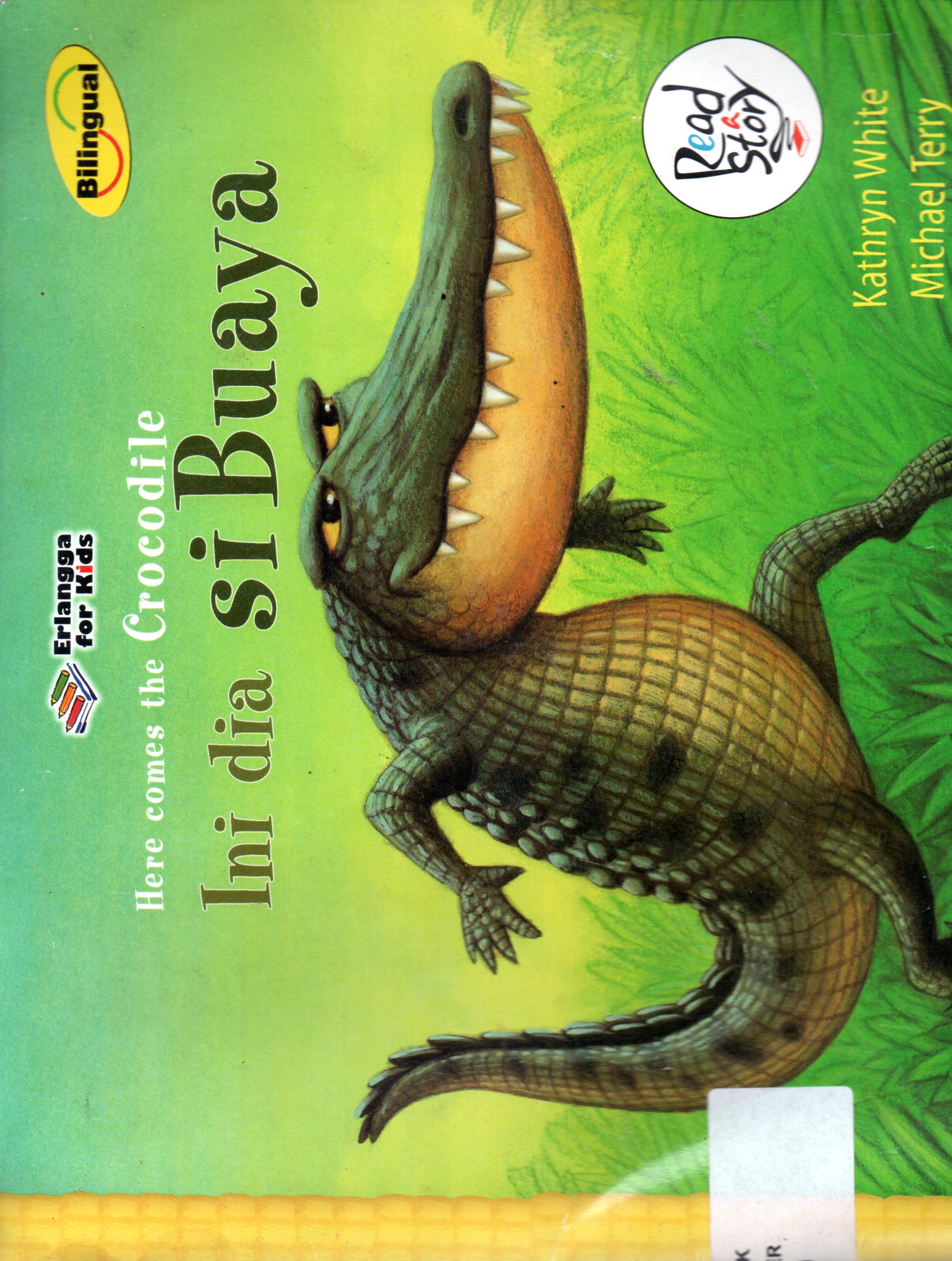 Sampul Here Comes the Crocodile :  Ini Dia si Buaya / Ilustrasi: Michael Terry