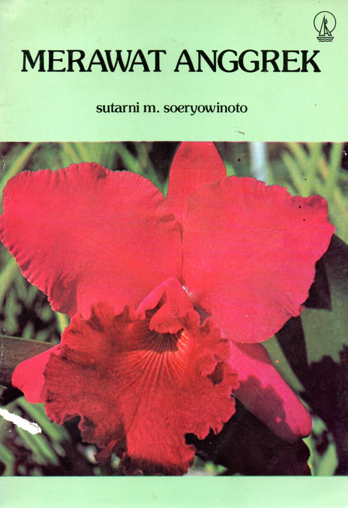 Sampul Merawat Anggrek