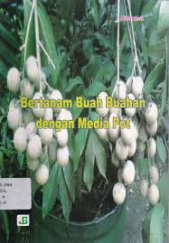 Sampul BERTANAM BUAH BUAHAN DENGAN MEDIA POT / DILANISA