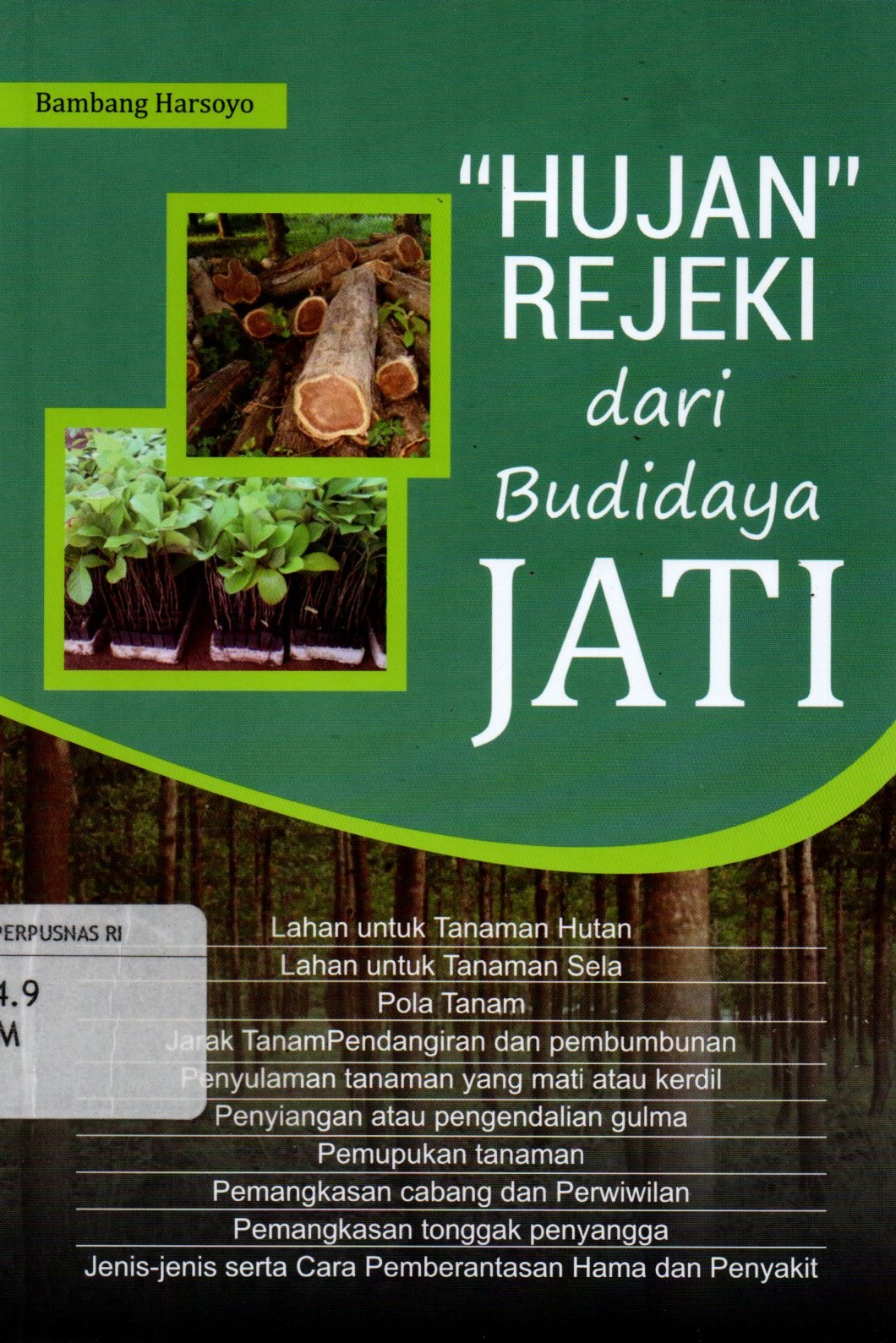 Sampul Hujan Rejeki Dari Budidaya Jati