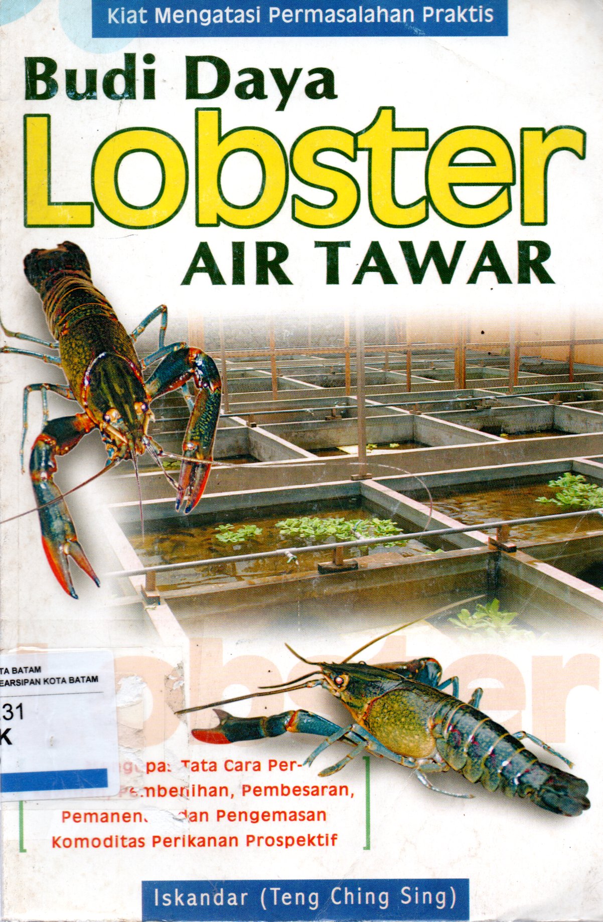 Sampul Budi Daya Lobster Air Tawar / Ilustrator: Ucok