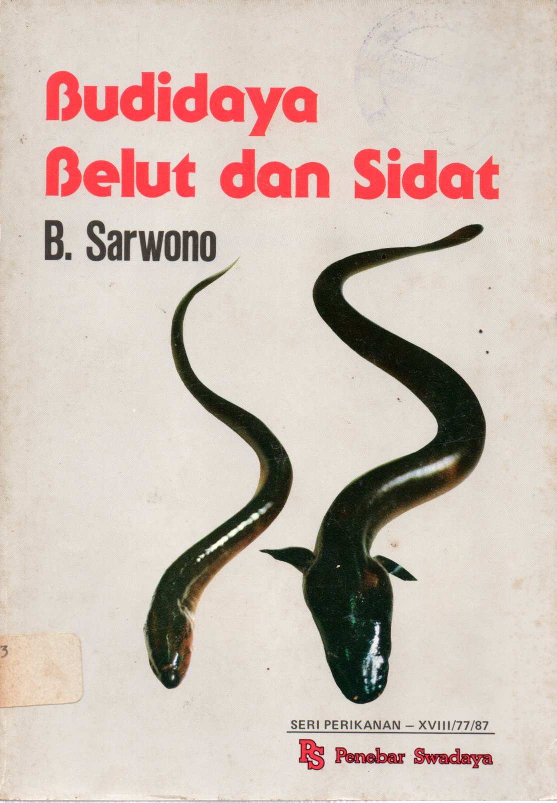 Sampul Budidaya Belut dan Sidat