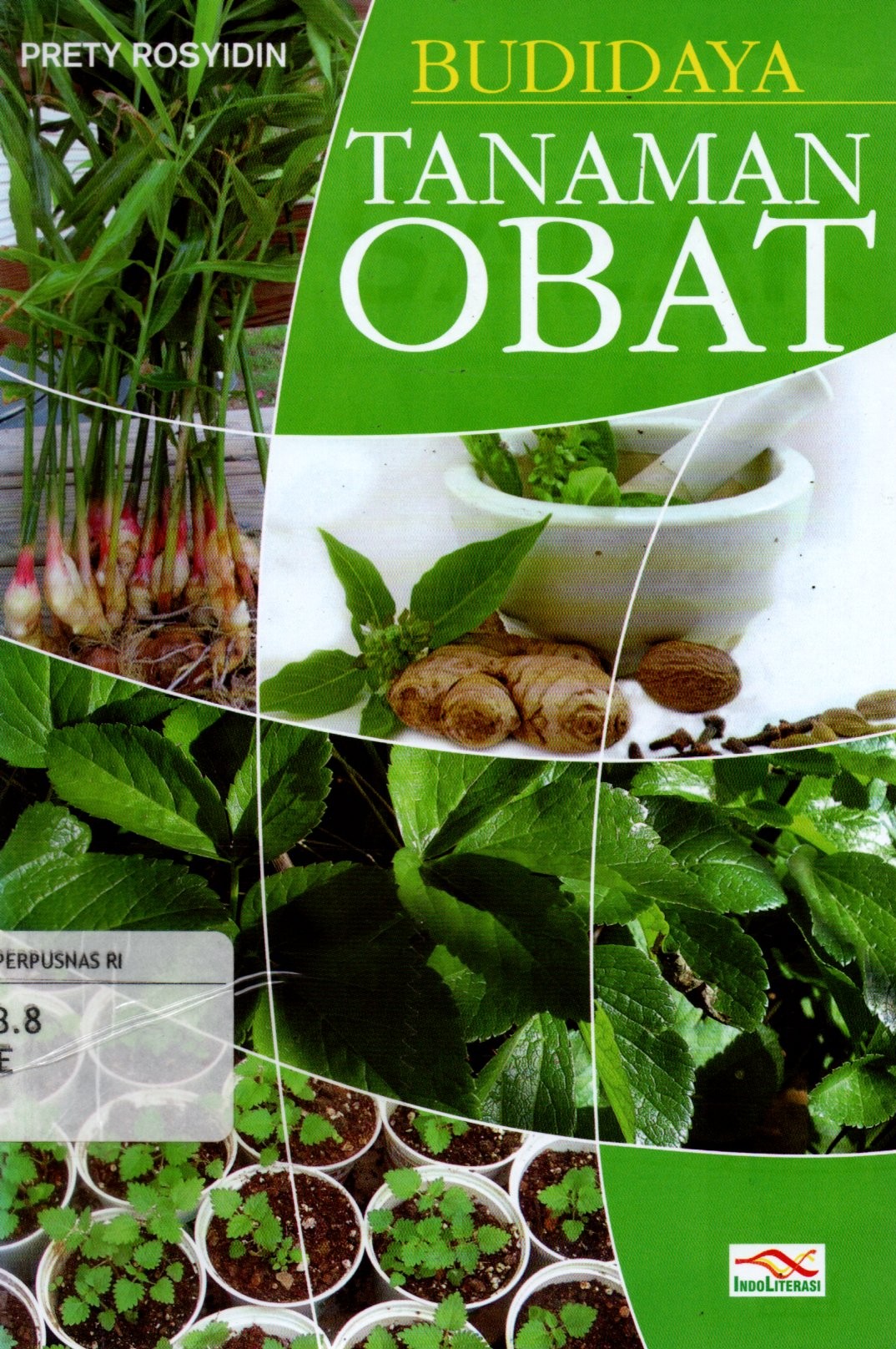 Sampul Budidaya Tanaman Obat / Penyunting: Nur Iswanto