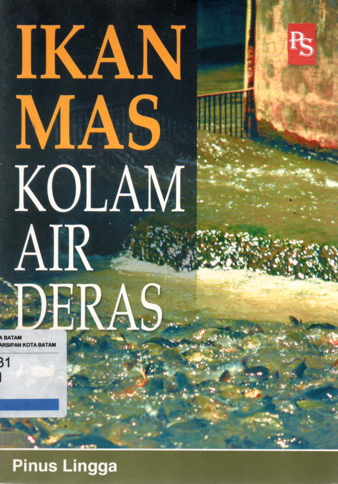 Sampul Ikan Mas Kolam Air Deras
