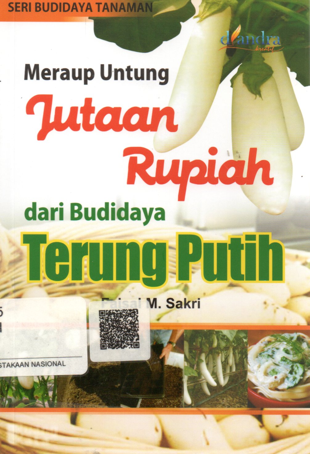 Sampul Meraup Untung Jutaan Rupiah dari Budidaya Terung Putih / Editor: Yusuf Efendi