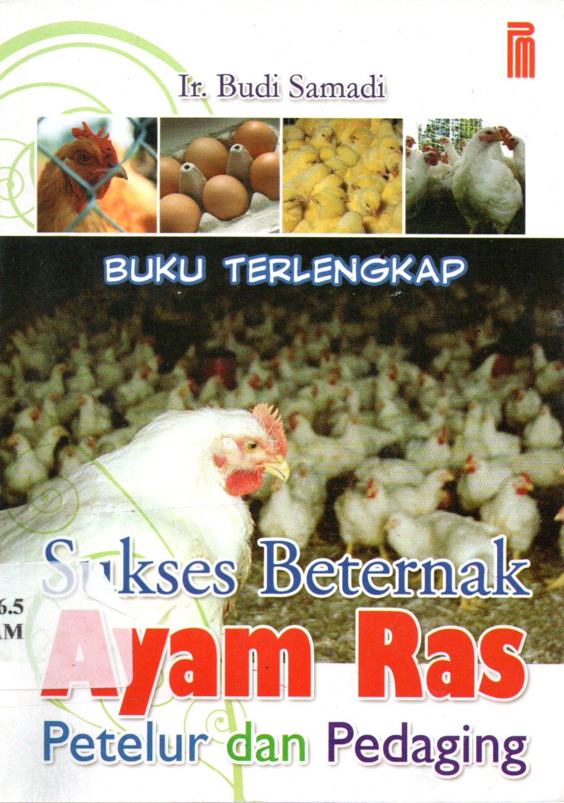 Sampul Sukses Beternak Ayam Ras Petelur dan Pedaging
