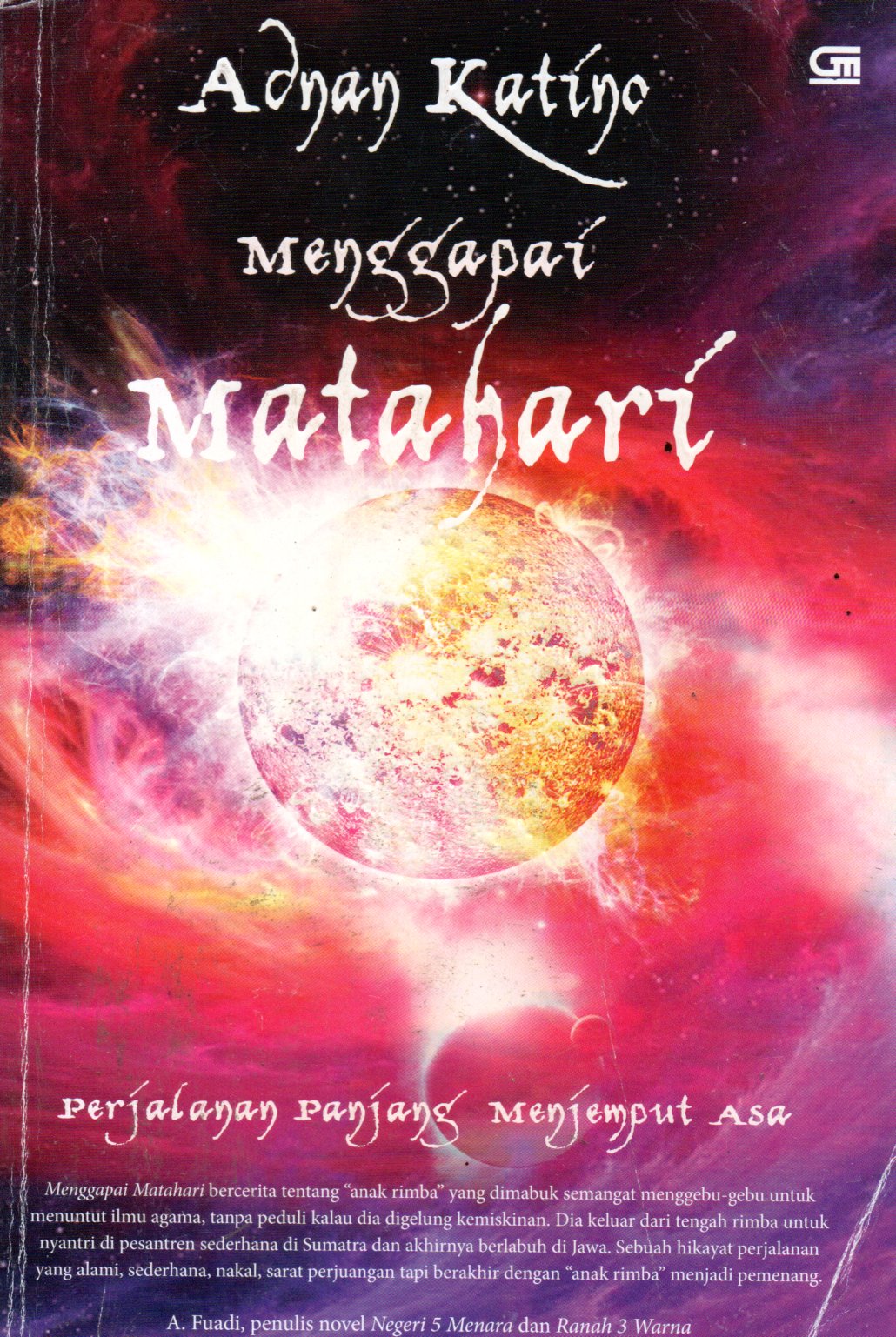 Sampul Menggapai Matahari / Editor: Meilia Kusumadewi