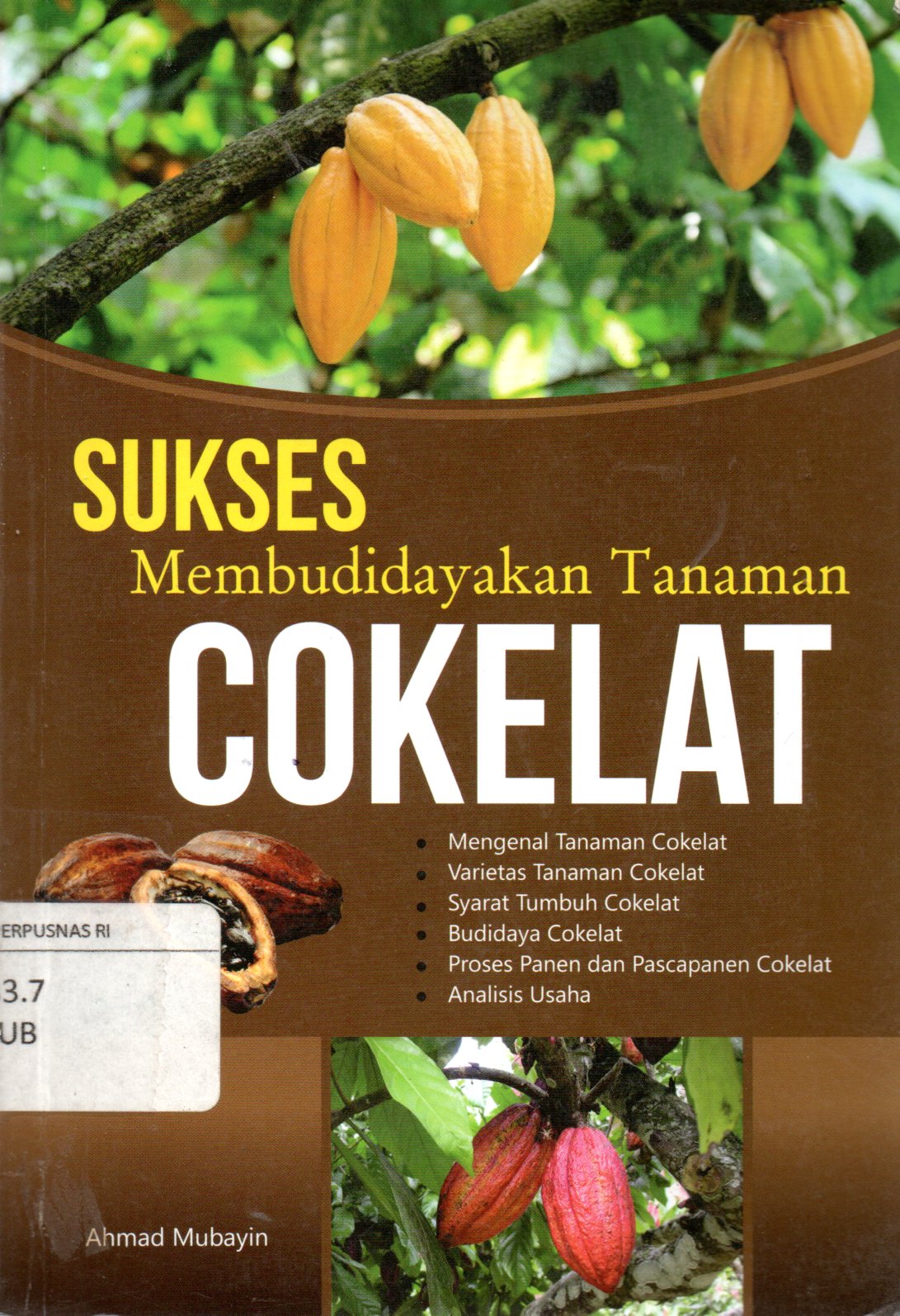 Sampul Sukses Membudidayakan Tanaman Cokelat