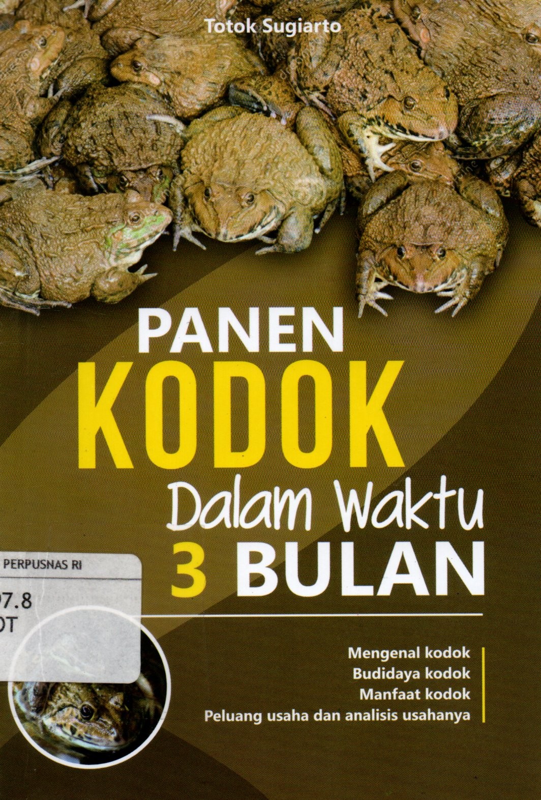 Sampul Panen Kodok dalam Waktu 3 Bulan