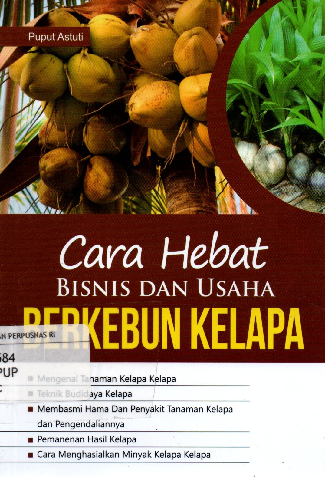 Sampul Cara Hebat Bisnis dan Usaha Berkebun Kelapa