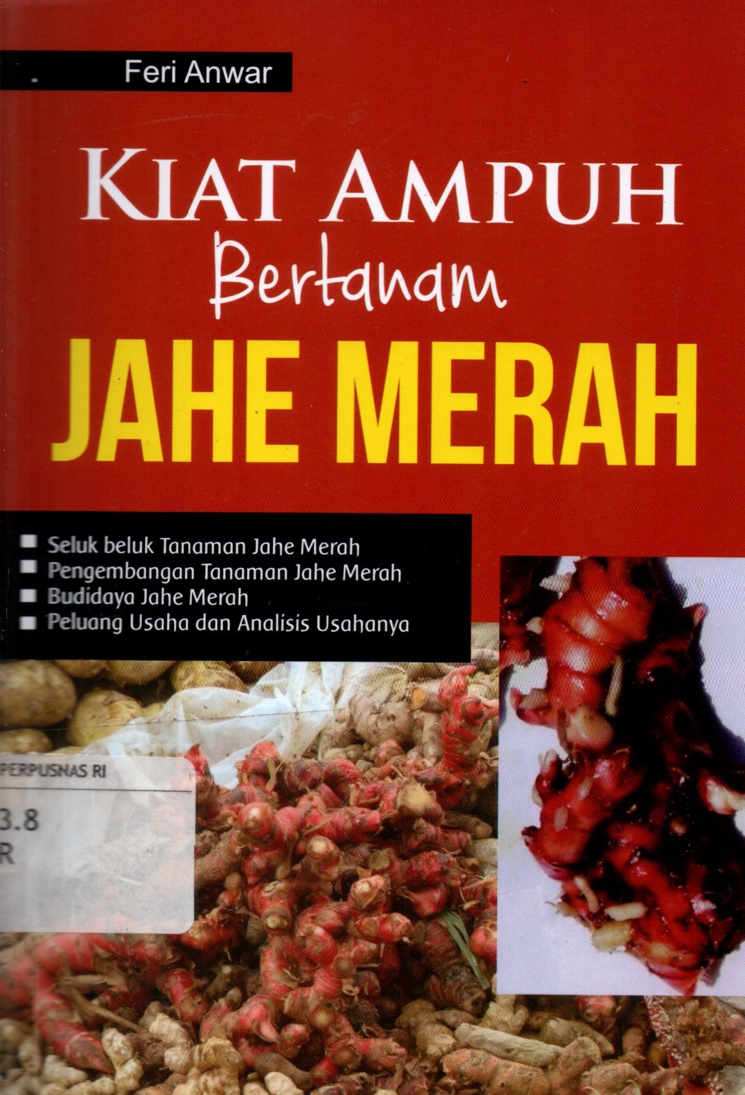 Sampul Kiat Ampuh Bertanam Jahe Merah