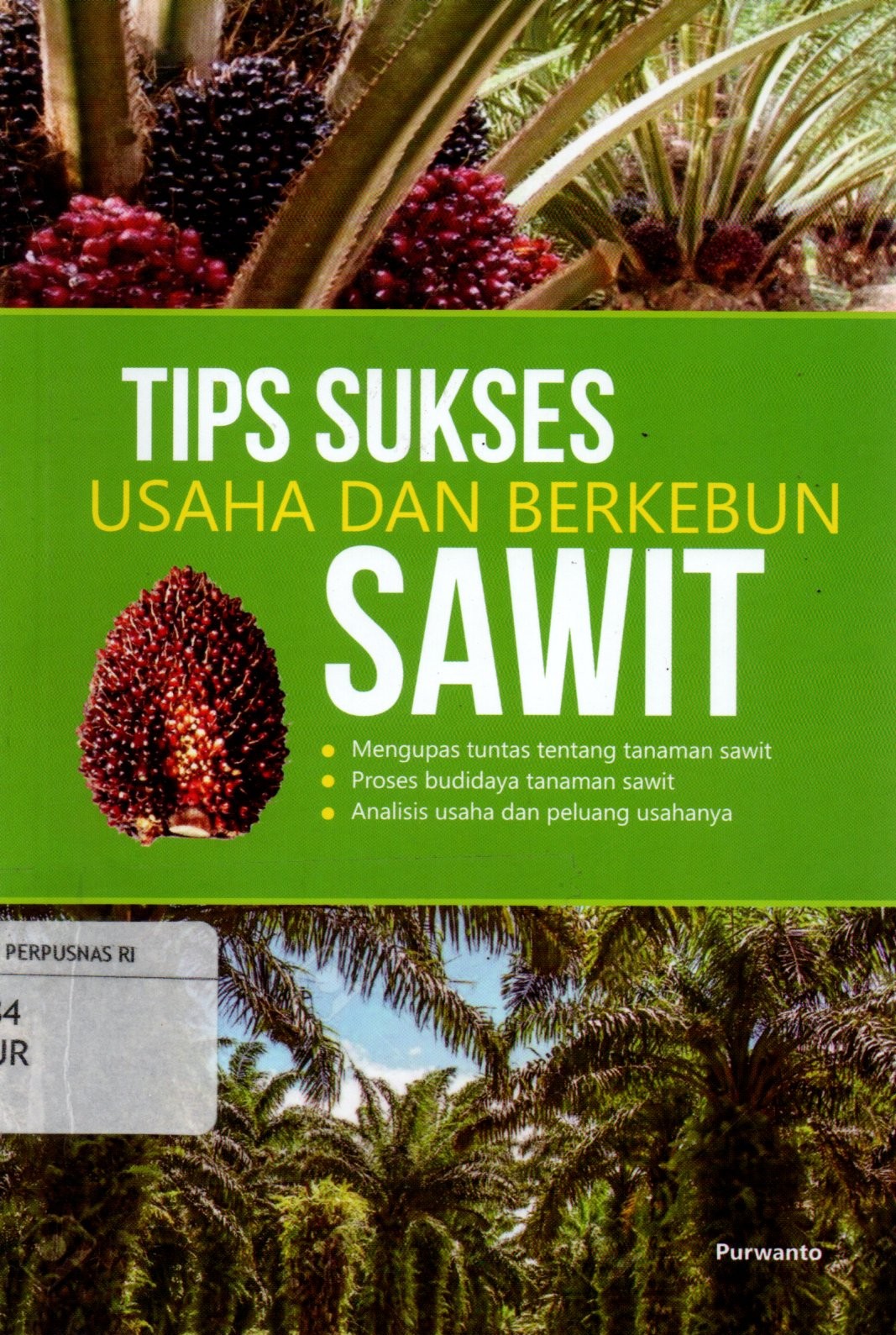 Sampul Tips Sukses Usaha dan Berkebun Sawit