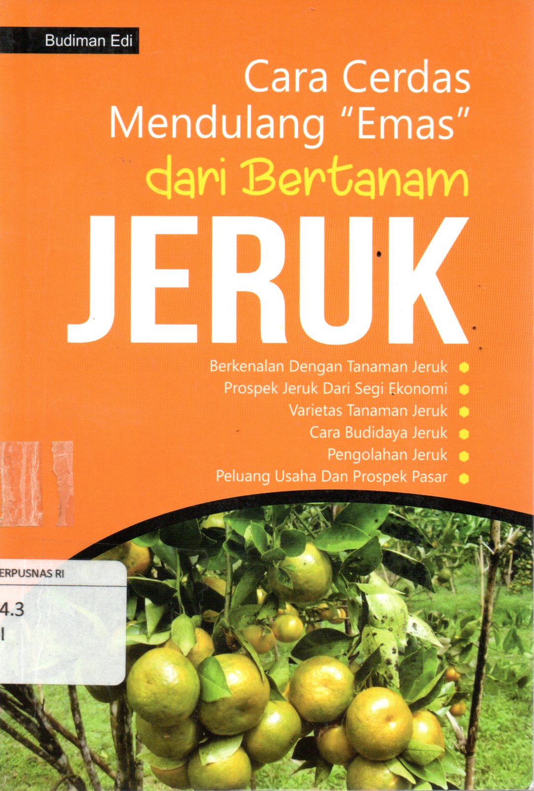 Sampul Cara Cerdas Mendulang Emas dari Bertanam Jeruk