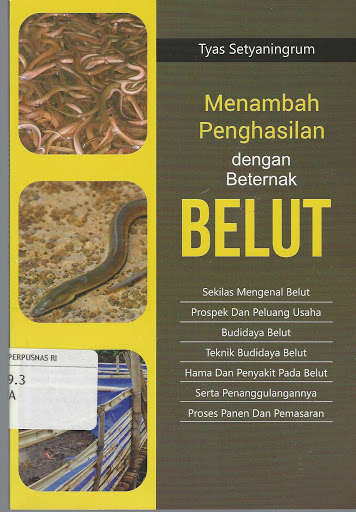 Sampul Menambah Penghasilan dengan Beternak Belut