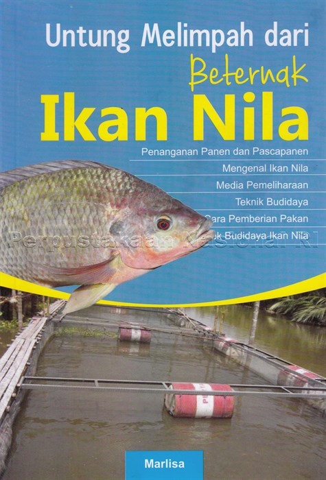 Sampul Untung Melimpah dari Beternak Ikan Nila