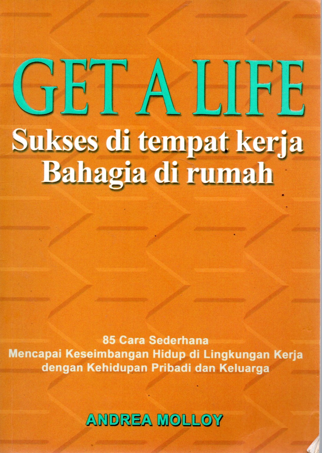 Sampul Get a Life :  Sukses di Tempat Kerja Bahagia di Rumah / Penerjemah: Sujatrini Liza